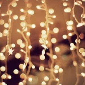 Meet your Posher, Abbey rose